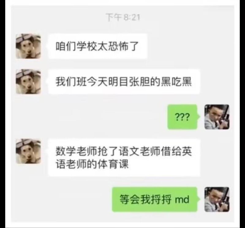 这个杀手不太冷