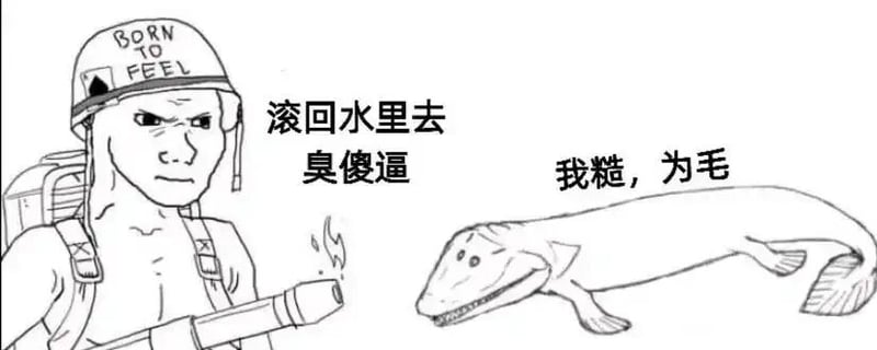 史前过渡型古生物