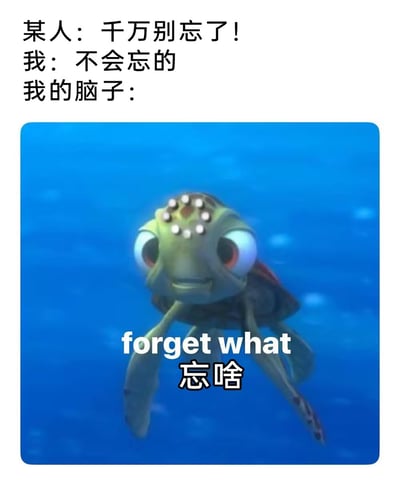 图片上方为三段式对话文字：“某人：千万别忘了！我：不会忘的 我的脑子：”，下方配有一张动画截图，内容是《海底总动员》中的小海龟Squirt在蓝色海水中，双眼圆睁，头顶有小气泡，下方叠加文字“forget what 忘啥”。整体通过对话与海龟的困惑表情，幽默展现了“刚答应不会忘，转头就失忆”的日常健忘场景。