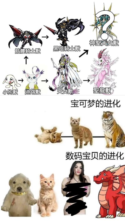 这是一张由三部分拼接而成的对比恶搞梗图，用来调侃数码宝贝进化的多样性与宝可梦进化的线性逻辑，放大反差制造笑点：
1. 上部是数码宝贝官方进化链：小狗兽进化为迪路兽，迪路兽可分支进化为天女兽或骷髅骑士兽；天女兽能进化为圣龙兽，圣龙兽可进化为神圣天女兽（图中神圣天女兽位置标有问号玩梗），骷髅骑士兽进化为黑暗骑士兽，还原数码宝贝多分支、跨画风的进化特点；
2. 中部是恶搞的「宝可梦的进化」：以小奶猫→成年橘猫→老虎的真实动物成长，模拟宝可梦循序渐进、同物种进阶的进化逻辑；
3. 下部是更离谱的「数码宝贝的进化」：以幼犬→橘猫→打码真人女性→红色西方龙的跨物种跳跃进化，彻底玩坏数码宝贝进化的无厘头设定，吐槽其进化时常出现的画风突变、物种跳跃的特点。