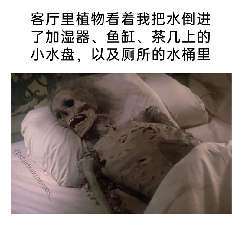 《星际迷航》系列