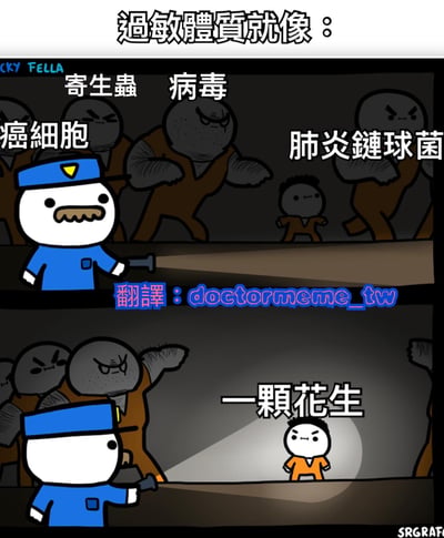 这是一张两格漫画风格的梗图，用幽默方式比喻过敏体质。上格文字为'过敏体质就像：'，画面中一名警察用手电筒照射一群看起来很凶恶的角色，分别标注为'寄生虫'、'病毒'、'癌细胞'和'肺炎链球菌'。下格中，同样的警察用手电筒照射一个看起来很愤怒的小人物，标注为'一颗花生'。通过这种对比，幽默地表现了过敏体质的免疫系统会把花生这种普通食物当作严重威胁来反应。