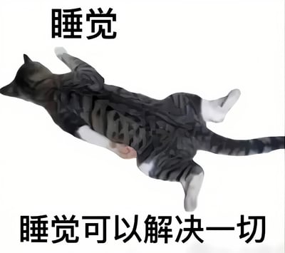 图片中央是一只灰黑色 tabby 猫，以仰卧姿势舒展四肢，呈现出完全放松的睡觉状态。图片上方有黑色文字“睡觉”，下方有黑色文字“睡觉可以解决一切”。整体画面简洁，通过猫咪慵懒的睡姿和直白的文字，幽默地传达出“通过睡觉逃避或解决问题”的轻松摆烂心态，没有双关或谐音梗。