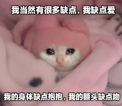 图片中是一只被粉色毯子包裹的小白猫，头戴粉色小帽子，露出一双又大又圆的无辜眼睛。图片上方配有文字“我当然有很多缺点，我缺点爱”，下方文字为“我的身体缺点抱抱，我的额头缺点吻”。通过“缺点”的双关语义（既指不足又指“缺少”），以俏皮可爱的方式表达了对关爱、拥抱和亲吻的渴望，整体氛围温馨治愈。