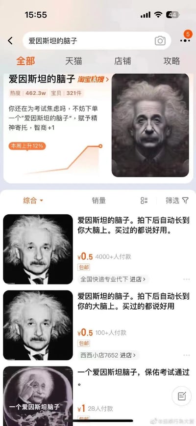 这是一张竖屏的淘宝网页UI截图，展示了搜索“爱因斯坦的脑子”的结果页面。该关键词是淘宝热搜，热度达462.3w，本周热度上升12%，定位为给考试焦虑人群提供精神寄托的趣味内容。页面下方的商品列表中，有多款售价0.5元或1元包邮的“爱因斯坦的脑子”商品，商品文案多为“拍下后自动长到你大脑上”“保佑考试通过”这类玩笑式的内容，已有数千位用户付款，是商家针对学生群体的考试焦虑打造的虚拟趣味商品，没有实际实物，仅作为精神慰藉和娱乐性的网络商品存在。