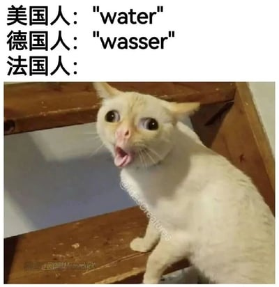 这是一张趣味梗图，通过展示不同国家语言中“水”的表达来制造幽默效果。图中上方文字依次列出：美国人说“water”，德国人说“wasser”，这两个词汇拼写和发音较为接近；而法语中“水”是“eau”，发音近似“欧”，图中用一只眼睛圆睁、嘴巴大张、表情极度夸张的白色猫咪来对应法国人说“水”的场景，利用法语发音与猫咪夸张嚎叫的相似感，调侃法语词汇发音和其他语言的差异，形成反差搞笑的效果。