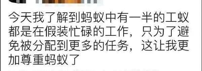 图片为纯文字内容，文本写道：'今天我了解到蚂蚁中有一半的工蚁都是在假装忙碌的工作，只为了避免被分配到更多的任务，这让我更加尊重蚂蚁了'。通过拟人化的方式将蚂蚁的行为与人类职场中避免过度工作的心态联系起来，带有幽默和调侃的意味，引发读者共鸣。