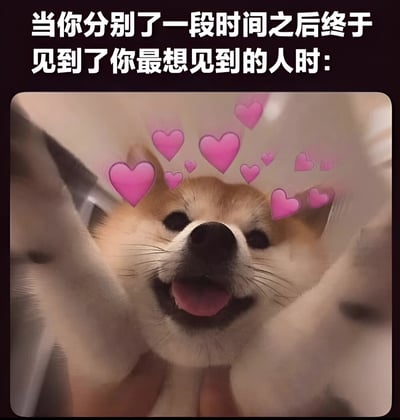 图片上方有白色文字'当你分别了一段时间之后终于见到了你最想见到的人时：'，下方是一只柴犬的特写照片。柴犬被人用双手捧着脸，嘴巴张开，舌头吐出，眼睛睁大，表情十分开心兴奋，周围还添加了多个粉色爱心图案，整体营造出久别重逢时的激动与喜悦氛围。