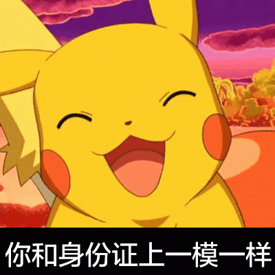 皮卡丘：你和身份证上一模一样