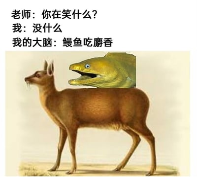 这是一张充满反差感的网络搞笑梗图，采用图文混排的形式呈现。上方是三段对话文字：老师发问“你在笑什么？”，“我”嘴硬回应“没什么”，紧接着标注出“我的大脑：鳗鱼吃麝香”；下方是经过P图改编的怪异生物图像，将鳗鱼的头部拼接在麝（一种可产麝香的鹿科动物）的身体上，形成一个违和感极强的合成生物。该图利用“鳗鱼吃麝香”的谐音梗，谐音“瞒愚痴想”，生动表现出上课走神被老师发现发笑时，嘴上掩饰内心想法，大脑却在脑补无厘头怪异画面的状态，通过荒诞的画面和文字反差制造搞笑效果。