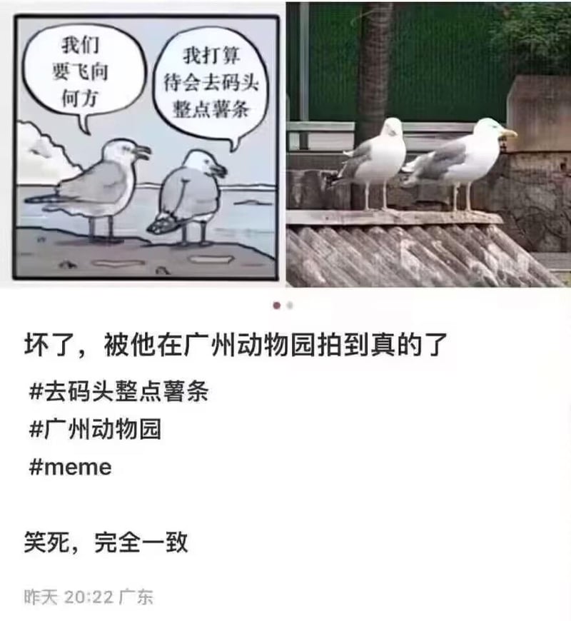 网络搞笑漫画