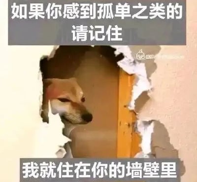 这是一张图文混排的顶配底文静态单图，主体内容是一只呆萌的狗狗从墙壁的破洞里探出头，画面上方配有文字“如果你感到孤单之类的请记住”，下方配有文字“我就住在你的墙壁里”。这张图以搞怪又暖心的方式，通过狗狗破墙的有趣画面搭配治愈文字，为感到孤单的人传递陪伴感，营造出可爱温馨的氛围，属于搞笑治愈类的宠物梗图，能够慰藉情绪，带来轻松温暖的感受。