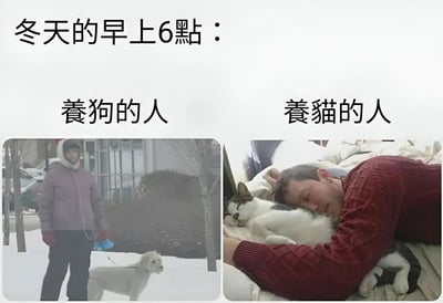 这张图片通过左右对比的方式，幽默地展示了冬天早上6点养狗人和养猫人的不同状态。左边的养狗人穿着厚重的冬装，在寒冷的雪天里遛狗；右边的养猫人则舒适地躺在床上，和猫咪一起睡觉。