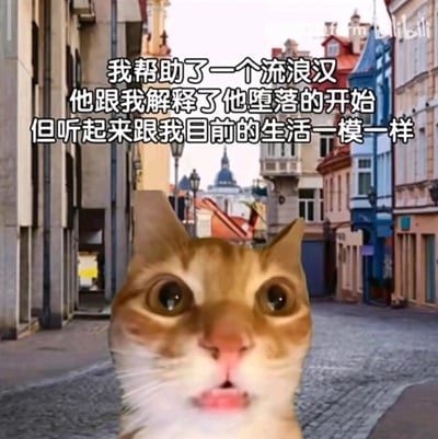 这是一张经过P图改编的搞笑表情包，前景是一只表情极度震惊的橘猫，它双眼圆睁、嘴巴微张，呈现出不敢置信的神态；背景是一条充满欧洲复古风格的石板街道，两侧林立着色彩丰富的小镇建筑。图片上方配有扎心的文字：“我帮助了一个流浪汉，他跟我解释了他堕落的开始，但听起来跟我目前的生活一模一样”，通过荒诞的对比，以幽默又无奈的方式调侃当代人的生活状态，表达了对自身生活现状的自嘲，容易引发网友的共鸣。