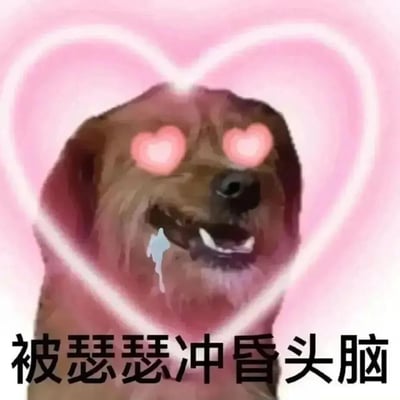 一张可爱的狗狗表情包，狗狗眼睛变成了粉红色的心形，嘴角流着口水，背景是一个大心形。图片下方配有文字“被瑟瑟冲昏头脑”，表达一种痴迷、沉醉的状态。常用于表达对某人或某物的强烈喜爱和迷恋之情。