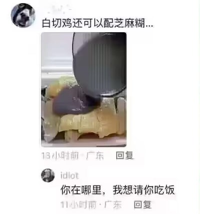 这是一张竖屏的社交媒体评论区截图，上方用户发布了一张将深色芝麻糊浇在切好的白切鸡上的图片，并配文“白切鸡还可以配芝麻糊...”，展示了一种违背粤菜常规搭配的黑暗料理组合。下方来自广东的评论用户先打出“idiot”，接着回复“你在哪里，我想请你吃饭”，用反讽的语气表达对这种离谱搭配的吐槽。白切鸡作为经典粤菜，通常搭配姜葱酱等传统蘸料，搭配芝麻糊的组合完全不符合常规饮食认知，这种反差感让评论充满搞笑效果，容易引发广东网友的共鸣。