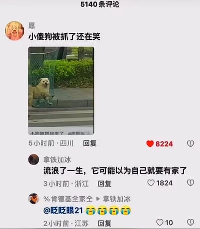 这是一张国内社交平台的评论区截图，顶部显示共有5140条评论。第一条评论来自四川用户“愿”，发布于5小时前，内容为“小傻狗被抓了还在笑”，并附带一张实拍图片：一只浅色流浪狗被类似捕抓的工具控制，身体被提起，却露出类似微笑的表情，这条评论获得8224个点赞。第二条评论是浙江用户“拿铁加冰”3小时前的回复：“流浪了一生，它可能以为自己就要有家了”，这条戳中网友内心的评论获得1824个点赞。第三条是江苏用户“%肯德基全家仝”2小时前的回复，内容为@用户“眨眨眼21”并附带四个大哭表情，获得10个点赞。整个评论区围绕这只特殊的流浪狗展开，传递出网友对流浪动物的心疼与共情，温暖又令人心酸。