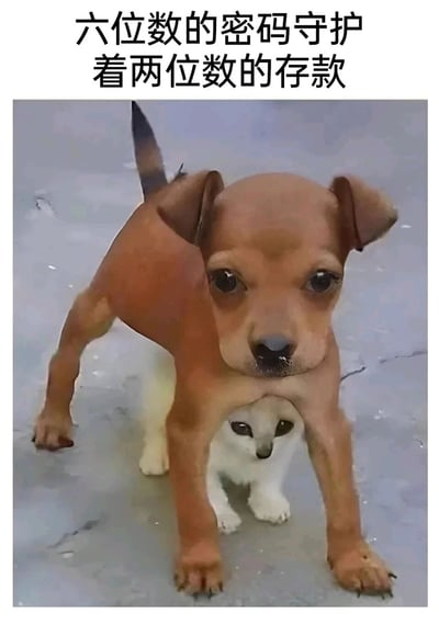 这是一张经过P图拼接合成的搞笑自嘲梗图，画面通过图像合成制造出视觉错觉：一只棕色小狗的头部与前肢呈现出怪异的身体结构，实际上是一只白色小猫躲在小狗身体下方，只露出头部，二者组合形成了奇特的视觉效果。图片顶部配有文字“六位数的密码守护着两位数的存款”，用夸张且扎心的方式，调侃自身存款数额极少，却使用复杂的六位数密码进行保护，精准契合当代年轻人拮据的经济状况，以搞笑的视觉呈现搭配共鸣感极强的文字，在社交平台引发网友的情感共鸣，用来表达自己“穷”的自嘲心态。