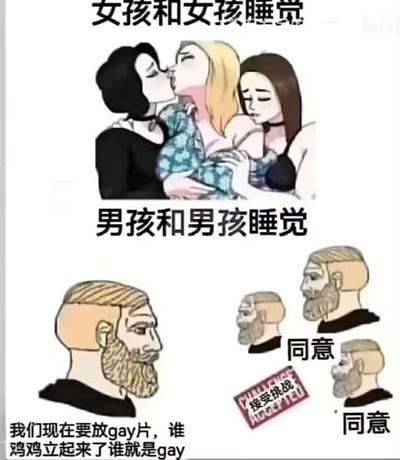 这是一张上下对比的搞笑梗图，分为两个部分：
1. 上半部分标题为「女孩和女孩睡觉」，展示了三位卡通女孩亲密互动的场景，两位女孩亲吻，另一位女孩抱着中间的女孩，氛围十分亲昵；
2. 下半部分标题为「男孩和男孩睡觉」，使用了GigaChad（Average Enjoyer）风格的卡通男性角色，左侧角色提出「我们现在要放gay片，谁鸡鸡立起来了谁就是gay」的整蛊提议，另外两位角色分别表示「同意」，还有「接受挑战」的标识，通过男女同性同睡时的不同互动模式制造反差，调侃性别刻板印象，达到搞笑效果。
