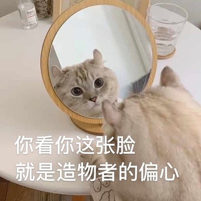 这张图片是一只英短猫咪坐在镜前看着自己，镜中的猫表情呆萌。画面左下角加了字：“你看你这张脸 就是造物者的偏心”，表现出一种自信、轻微自夸和可爱幽默的气氛。这句话属于双关，一方面调侃颜值高，一方面也玩笑式地暗示猫咪是“幸运儿”。图片整体氛围俏皮、治愈感强。