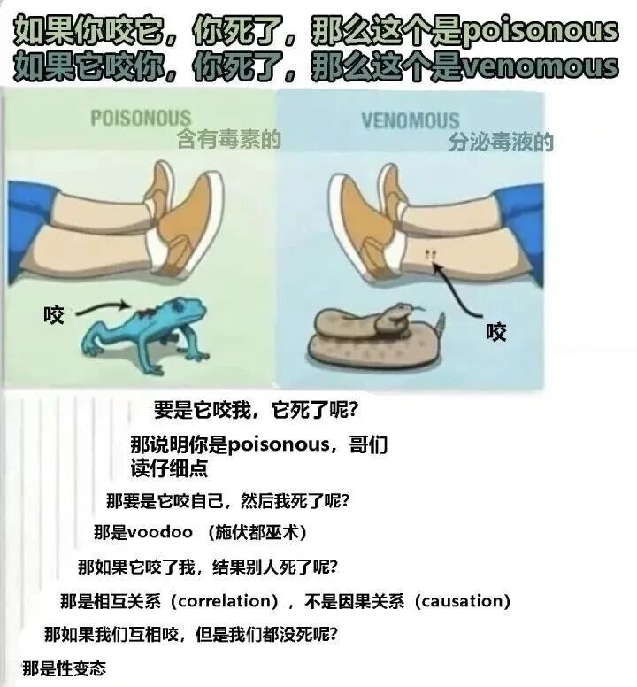 蛇