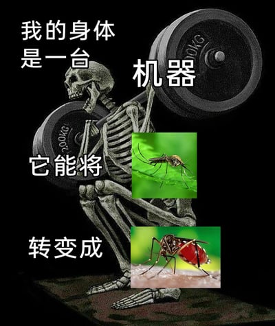这是一张趣味合成梗图，画面主体是一个扛着两块200KG杠铃的骷髅，做出深蹲的动作，背景为纯黑色。图中搭配白色文字构建叙事：“我的身体是一台机器”位于骷髅上方，“它能将”位于骷髅躯干左侧，“转变成”位于骷髅腿部左侧；同时在“它能将”的右侧插入一只停在绿叶上、未吸血的普通蚊子图片，“转变成”的右侧插入一只吸饱红色血液、腹部鼓起的蚊子图片。整图用夸张的方式，将“身体”比作能为蚊子提供血液的“转化机器”，结合骷髅健身的反差画面，幽默地调侃了夏季被蚊子叮咬、成为蚊子“供血源”的无奈经历，充满搞笑的反差感。