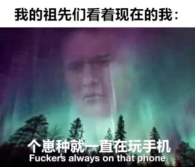 图片上方有文字'我的祖先们看着现在的我：'，中间是带有极光和树木的神秘背景，隐约可见一张类似祖先的幽灵般的人脸，下方配有文字'个崽种就一直在玩手机'及英文翻译'Fucker's always on that phone'。通过夸张对比，幽默地表现出现代人沉迷手机的状态，让祖先们感到无奈或失望。