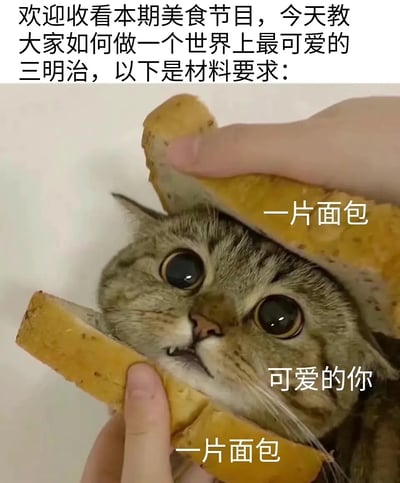 这张图片用搞笑方式把一只猫夹在两片吐司中，仿佛做成了“三明治”，并用美食教程式文案配合。“材料”为“面包+可爱的你（猫）”，十分有梗，猫的表情呆萌又震惊，很容易让网友发笑。这个梗利用了“你就是夹心”双关和可爱反差萌效果。