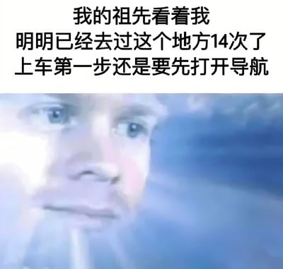 图片上半部分为黑色文字：'我的祖先看着我 明明已经去过这个地方14次了 上车第一步还是要先打开导航'，下半部分是一张模糊的人脸图像，可能象征着'祖先'的视角。整体通过幽默的文字和人物表情的结合，调侃现代人即使多次前往同一地点，仍习惯性依赖导航的生活现象，带有自嘲和无奈的搞笑意味。