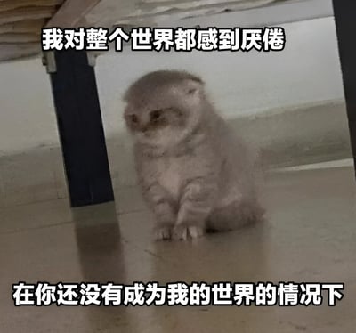 图片中是一只灰色的猫咪蹲坐在瓷砖地面上，眼神低垂，表情显得无精打采。图片上方配有文字“我对整个世界都感到厌倦”，下方配有文字“在你还没有成为我的世界的情况下”，通过猫咪的倦怠表情与文字结合，表达一种对世界感到疲惫但对特定对象抱有期待的情感。