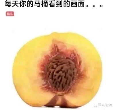 这是一张趣味恶搞类静态单图，画面主体是一个被横向切开的黄桃，黄色的果肉围绕着中间深褐色的果核，其整体形态与人坐在马桶上时的下半身视觉效果高度相似。图片顶部配有文字“每天你的马桶看到的画面。。。”，创作者利用这种视觉上的相似性，将日常如厕的场景用水果的形态进行调侃，制造出荒诞搞笑的趣味效果，属于典型的视觉类恶搞梗图。