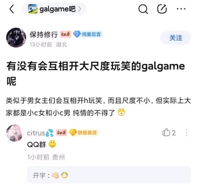 这是一张百度贴吧galgame吧的帖子截图，等级为Lv8、用户标签为“纯爱后宫”的湖北用户“保持修行”在13小时前发布提问，询问是否存在男女角色之间会互相开大尺度带色玩笑、但实际角色本身都非常纯情的galgame。下方等级为Lv8、用户标签为“静推黄游”的贵州用户“citrus”在1小时后回复“QQ群”并搭配笑脸表情，调侃现实中的QQ群恰好符合楼主描述的特征，截图底部还露出了其他用户“开宇”的回复片段，配有拳头和哭泣的表情。