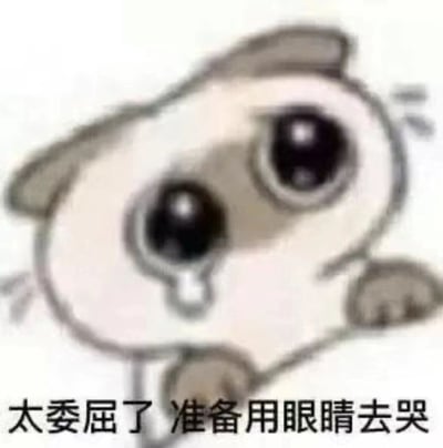 图片中是一只可爱的卡通小动物，有着圆滚滚的头部和两只超大的黑色眼睛，眼神中透露出明显的委屈情绪。左眼下方挂着一颗泪珠，头部微微倾斜，仿佛在表达内心的难过。图像下方配有文字“太委屈了 准备用眼睛去哭”，幽默地夸张了委屈的程度，通过“用眼睛去哭”这种直白又可爱的表达，强化了小动物的委屈形象。整体画面简洁，色彩以黑白灰为主，突出了卡通形象的萌感和情绪张力。