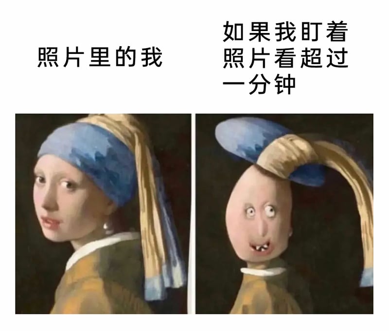 《戴珍珠耳环的少女》