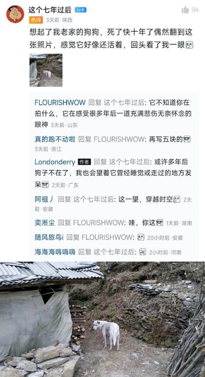 这是一张社交媒体截图，展示了一位用户分享的关于已故宠物狗的感人回忆。用户发布了一张多年前拍摄的白色狗狗照片，并配文表达了对已经去世近十年的狗狗的思念之情，称翻到照片时感觉狗狗好像还活着，回头看了自己一眼。截图中还包含其他用户的多条评论，表达了对这条感人帖子的共鸣和情感回应。