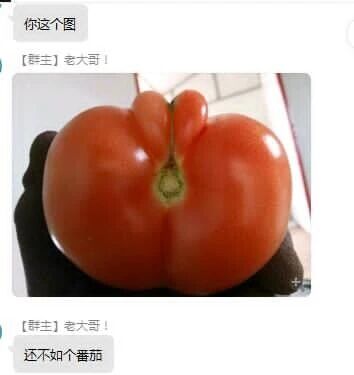 这是一张微信群聊的截图，群内有未知用户发出“你这个图”的内容，随后群主两次发送“老大哥！”，并附上了一张形态怪异的番茄照片，这个番茄顶部有凸起，形状类似人脸的部分特征，之后群主又发了“还不如个番茄”的内容，整体是群内成员用这个畸形番茄来玩梗调侃，氛围轻松搞笑，用畸形番茄的形态来进行趣味化的吐槽。