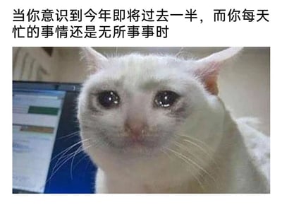 这是一张图文混排的表情包，上方配有文字“当你意识到今年即将过去一半，而你每天忙的事情还是无所事事时”，下方是一只白色猫咪的特写画面：猫咪双眼含泪、眼眶泛红，面部带着委屈又崩溃的神态，仿佛强忍着难过的情绪，背景中还能看到一部分电脑屏幕。这张图将猫咪拟人化，精准戳中了很多人在年中节点时，回顾半年时光发现自己看似忙碌实则毫无建树的焦虑与挫败情绪，用生动的动物表情放大了这种内心的崩溃感，极易引发职场人、学生群体等的共鸣。
