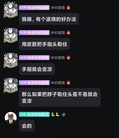 这是一张社交媒体聊天记录截图，展示了两个用户关于退烧方法的搞笑对话。用户"传说中的甜筒"先是一本正经地分享所谓的退烧妙招，说用皮筋勒手指能让手指变凉，随后话锋一转，荒谬地提问如果勒住脖子头是不是也会变凉。另一位用户"传说中的蛇王"则用一个简洁的"会的"回应，形成了强烈的黑色幽默效果。整个对话以一本正经的语气讨论危险行为，通过逻辑谬误制造出荒诞的喜剧感。