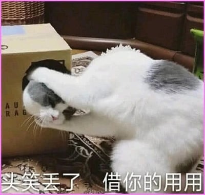 这是一张利用视觉错位效果制作的搞笑静态梗图，画面主体是一只灰白相间的猫咪，它将头部钻进了一个带有圆形孔洞的纸箱中，身体则留在纸箱外侧，从视觉角度看仿佛是猫咪的身体“借用”了纸箱洞里的头部，形成了荒诞有趣的画面。图片底部配有文字“头笑丢了 借你的用用”，将这个视觉错位的画面拟人化，用来调侃人因为遇到极其好笑的事情，夸张地形容自己“头都笑没了”，需要“借用”一个头，整体风格轻松诙谐，适合作为表情包在聊天中表达自己大笑的状态。