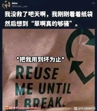 这是一张社交媒体截图，内容源自推特（X平台）用户laine（@female_son）发布的个人动态。用户在动态中调侃自己“没救了”，原因是看到一个印有环保标语的棕色纸袋时，将纸袋上的英文标语“REUSE ME UNTIL I BREAK”，根据发音脑补成了中文谐音“草啊真的够强”。纸袋上的英文标语本意是倡导重复使用，对应中文翻译为“把我用到坏为止”，图中也标注了该翻译。整个内容是利用英文发音与中文的巧合制造的搞笑谐音梗，充满了日常玩梗的趣味性，截图右下角带有“@核战避难所吧”的标识，说明该内容被百度贴吧的这个贴吧用户搬运分享，左下角还有翻译者“ProfessorMoody”的标注。