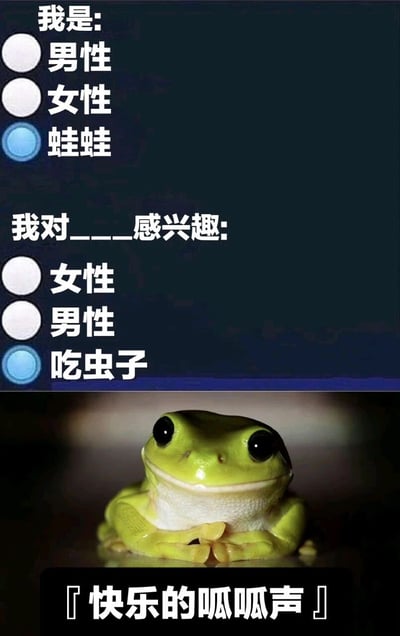 图片上半部分是模拟身份问卷的界面，标题为'我是:'，下方有三个单选选项'男性'、'女性'、'蛙蛙'，其中'蛙蛙'被蓝色圆圈选中；接着是'我对___感兴趣:'，下方选项为'女性'、'男性'、'吃虫子'，'吃虫子'同样被蓝色圆圈选中。图片下半部分是一只绿色的青蛙，眼睛大而黑，身体微微前倾，表情开心。底部有黑色背景文字'[快乐的呱呱声]'。通过将青蛙拟人化，选择符合青蛙习性的'蛙蛙'身份和'吃虫子'兴趣，制造幽默搞笑效果。