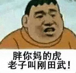 图片为《哆啦A梦》中的角色胖虎（刚田武）的面部特写，他眉头紧锁，嘴巴张开，表情愤怒，下方配有文字“胖你妈的虎 老子叫刚田武!”，以幽默方式纠正对其昵称“胖虎”的称呼。