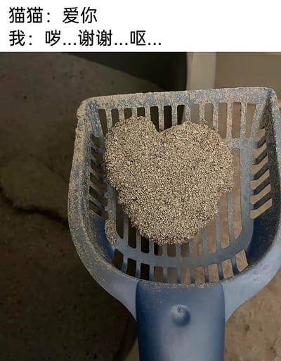 这是一张记录养猫日常的实拍静态图，画面中心是一个沾有猫砂的蓝色猫砂铲，铲中是一团猫咪排泄后凝结成爱心形状的猫砂尿团，背景是猫砂盆内的猫砂。图的上方配有两段对话文字，模拟猫咪的语气说“爱你”，而铲屎的主人则用带有干呕语气的文字“哕...谢谢...呕...”来表达自己面对这份另类爱心时，又无奈又嫌弃却又有点好笑的复杂心情，精准还原了养猫人遇到这类趣事的真实反应。