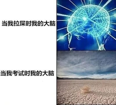 该梗图通过左右图文对比的形式，左侧上方文字为'当我拉屎时我的大脑'，对应右侧上方的发光蓝色大脑图像，象征大脑思维活跃；左侧下方文字为'当我考试时我的大脑'，对应右侧下方的干旱沙漠图像，象征大脑一片空白。整体以幽默方式调侃人们在不同场景下的大脑状态差异。