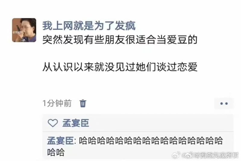 《我的人间烟火》