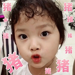 权律二萌系表情包：被“猪”字包围的可爱瞬间