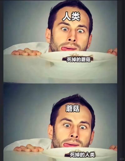 这是一张由上下两部分拼接而成的对比类搞笑梗图，上图呈现的是头顶标注“人类”的真人男子，双眼圆睁、表情怪异，舌头舔向面前盘子里标注“死掉的蘑菇”的食物；下图则将男子头顶的标注改为“蘑菇”，盘中食物的标注改为“死掉的人类”，男子保持和上图完全一致的怪异表情与动作。该图通过互换进食者与被进食者的身份，将人类食用蘑菇的日常场景反转成蘑菇“食用”人类的荒诞画面，利用这种反向视角的反差感制造滑稽的喜剧效果，调侃了日常的饮食场景。