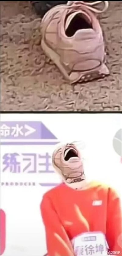 这是一张上下对比的搞笑P图，上方是一只放置在泥土地上的浅棕色运动鞋，鞋口张开的形态看起来类似人的嘴巴大张；下方则是将这只鞋的鞋头替换掉蔡徐坤在《偶像练习生》节目里的头部的改编图，原画面中蔡徐坤头部后仰，替换后鞋口张开的样子和原动作适配度很高，形成了荒诞搞笑的视觉效果，利用物品和人物动作的视觉相似性制造出趣味梗。