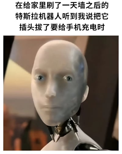 这张梗图展示了一个特斯拉机器人的特写镜头，它有着光滑的白色头部和蓝色的眼睛。图片上方配有文字：'在给家里刷了一天墙之后的特斯拉机器人听到我说把它插头拔了要给手机充电时'。图片通过机器人看似惊讶或失望的表情，幽默地表现了如果机器人有情感，在辛苦工作一天后还要被拔掉电源给手机充电时可能会有的反应。