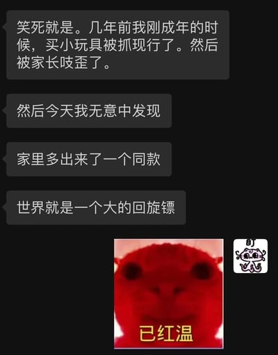 这是一张以黑色为背景的图文混排梗图，通过对话气泡形式讲述了一个幽默故事：几年前刚成年时因买小玩具被家长发现并批评，如今却在家中意外发现同款玩具，最后以“世界就是一个大的回旋镖”感慨生活的反转。图片底部配有一个红色模糊图像，标注“已红温”，强化了尴尬又好笑的情绪。